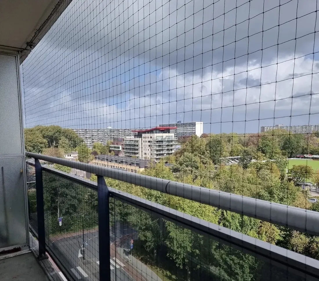 Strak net met vrij uitzicht in Rotterdam